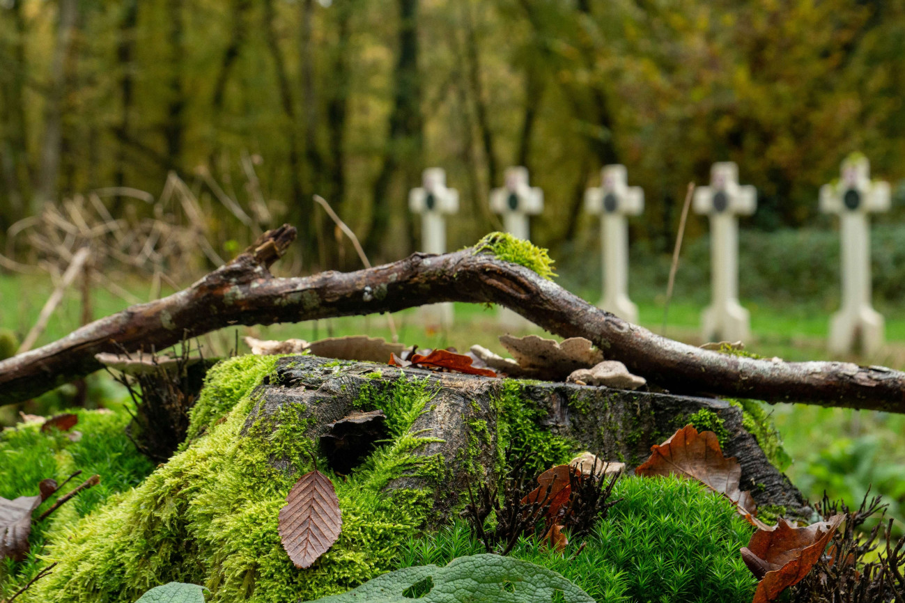 Inhume Inhumation : Guide complet 2026 - Démarches, coûts et conseils