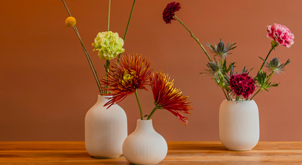 Pompes Funèbres PFG Audincourt