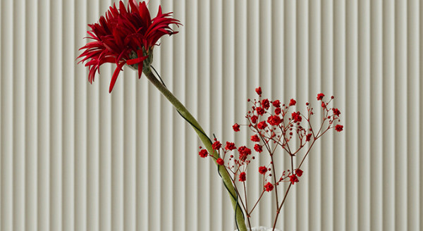 Pompes Funebres Marbrerie Funeralp - Saint-Jeoire