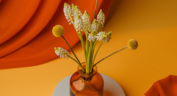 Pompes Funèbres Henocq