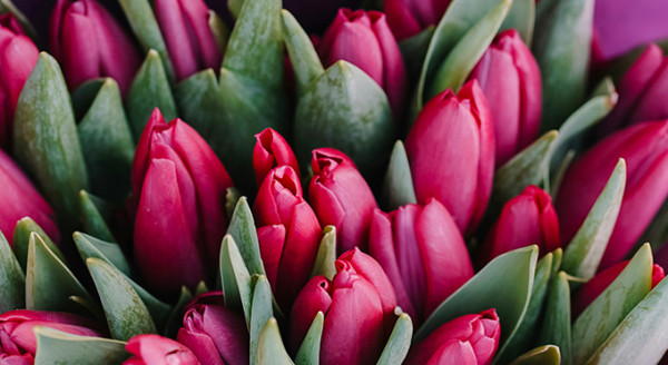 Pompes Funèbres As-Sirat