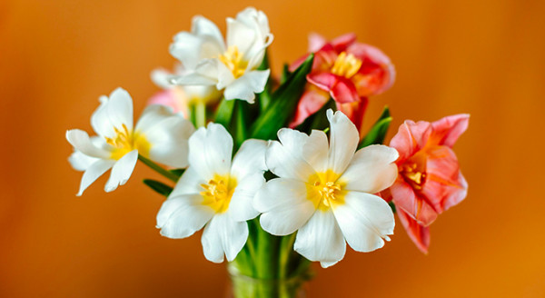 Pompes Funèbres Vautherin