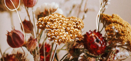 Pompes Funèbres De France